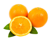 Fresh oranges for international markets