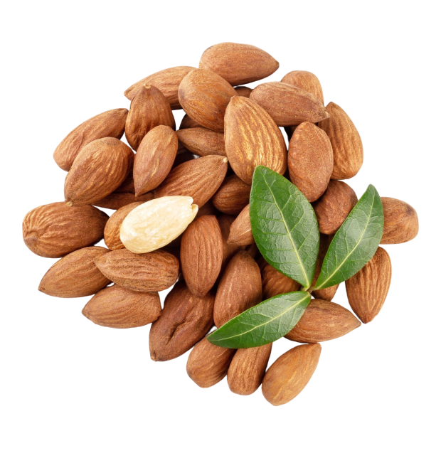 Organic almonds, pistachios, cashews, walnuts, and sun-dried figs — nutrient-rich dry fruits for a healthy lifestyle