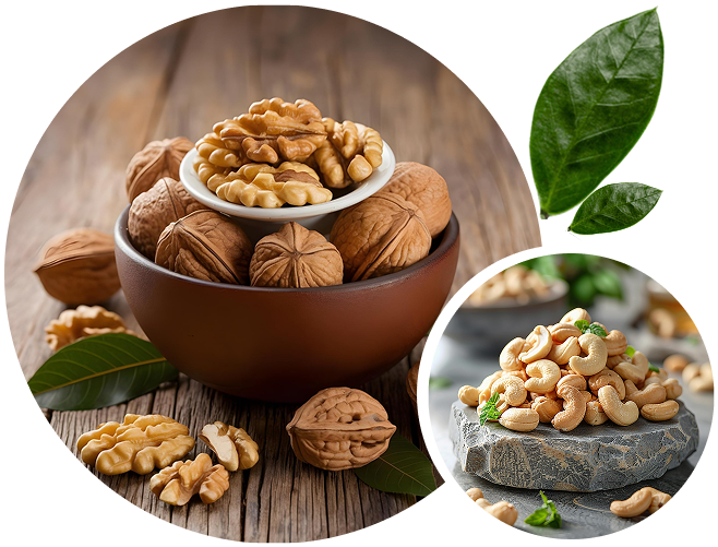 Premium Dry Fruits Trading – JPImpex