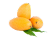 Premium Alphonso mangoes for export