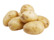 Fresh organic potatoes supplied by JPImpex for global markets